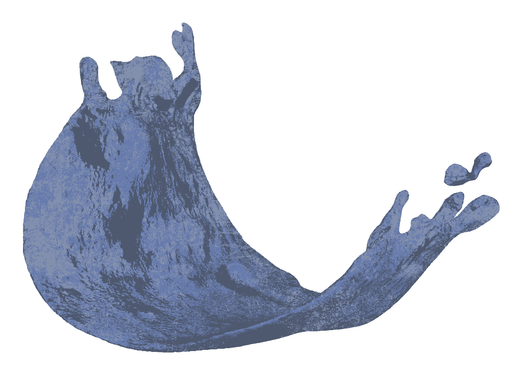 Wavicle
