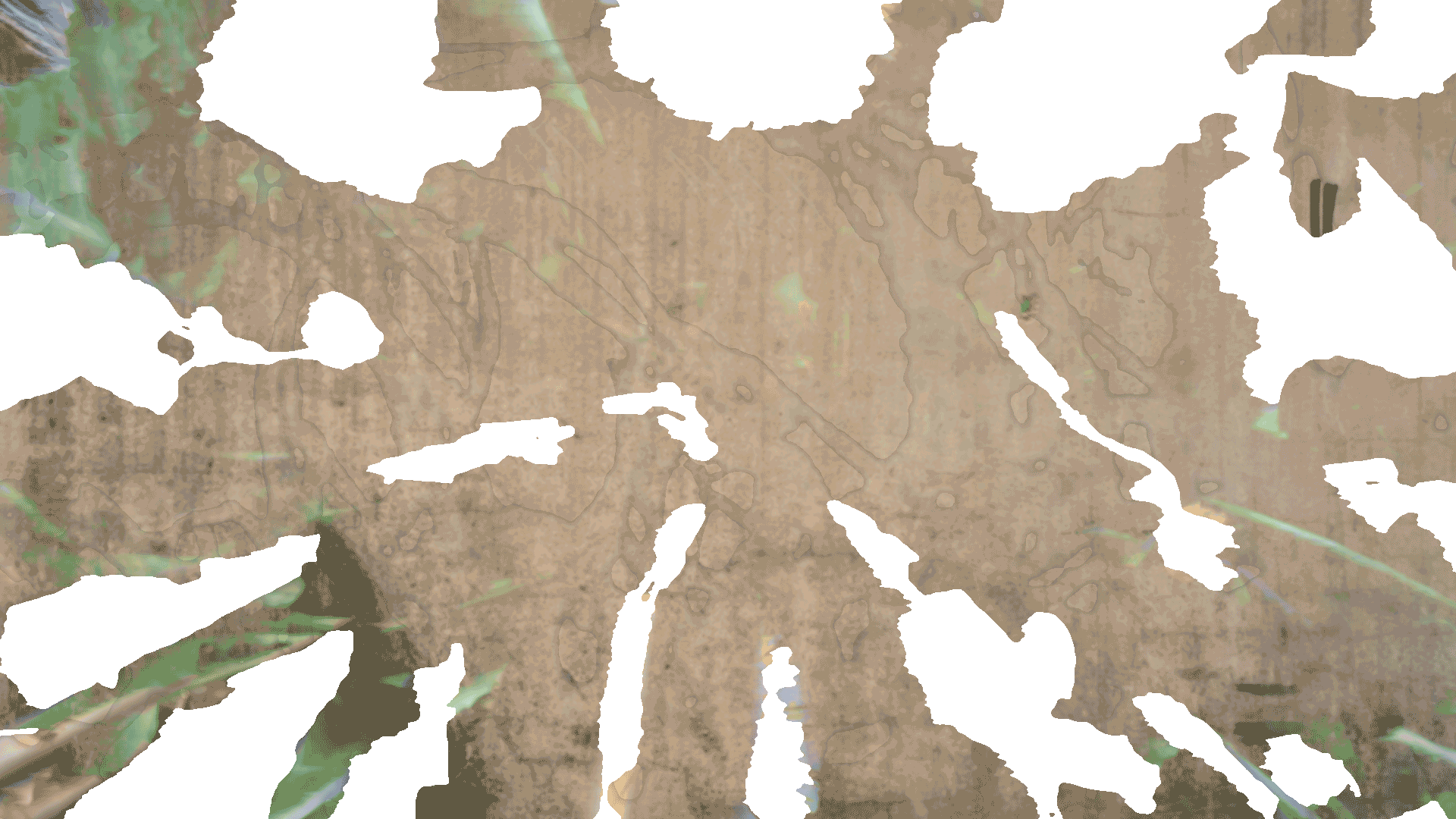 Intro Image