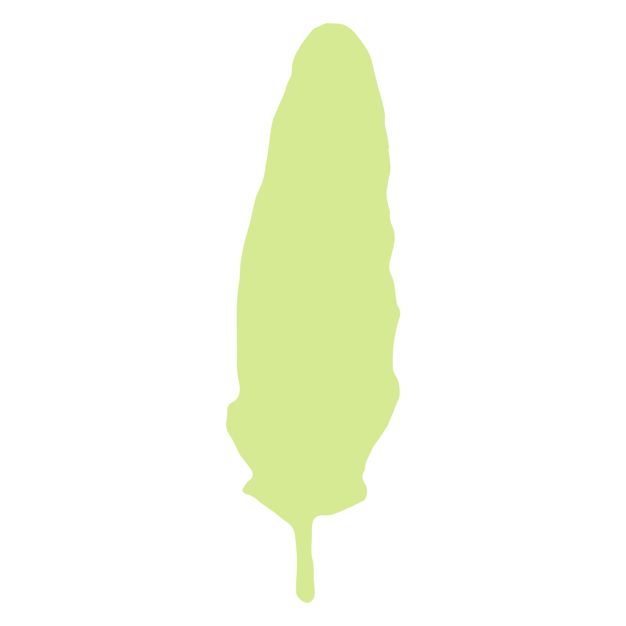 Mycel