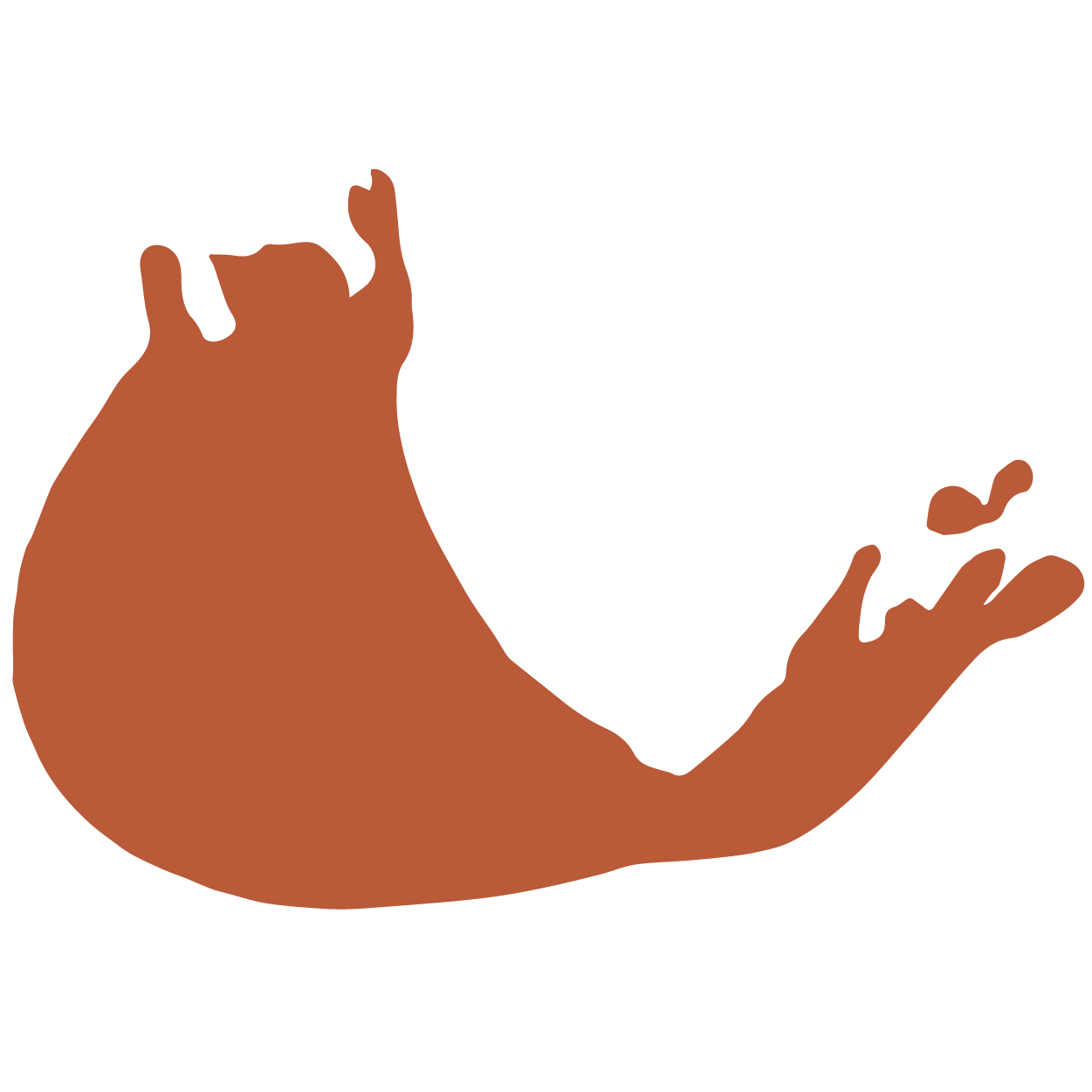 Mycel